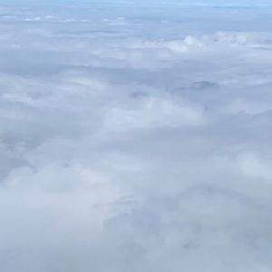 Meet your Posher, Green